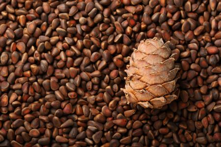 Siberian pine conesの写真素材