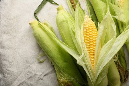 Maize closeupの写真素材