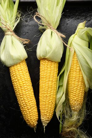 Raw Fresh corn cob on black background