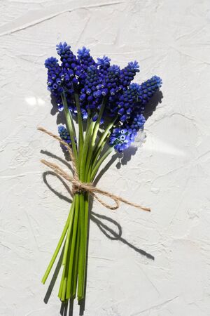 Blue spring bouquet, flowers
の写真素材