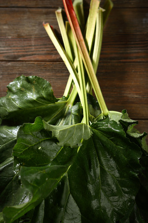 Fresh rhubarb sticks on wood, food aboveの写真素材