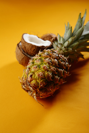 Tropical still life, summer conceptの写真素材