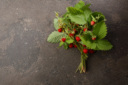 Wild strawberries on dark backgroundの写真素材