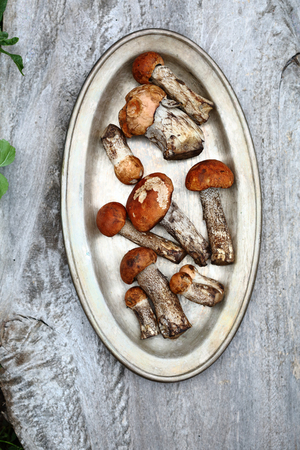 Fresh mushrooms on platterの写真素材