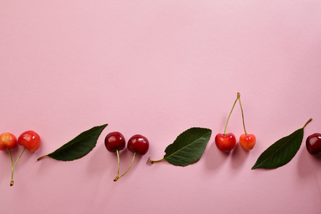 Pink background with cherryの写真素材