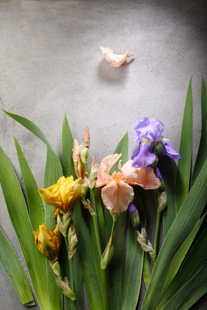 gray background with beautiful flowersの写真素材