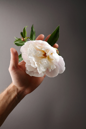 One flowers in handの写真素材