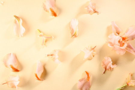 Flower elements background