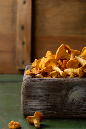 Fresh forest mushrooms chanterellesの写真素材