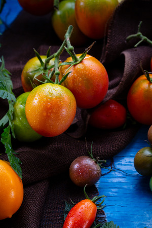 Harvest of Fresh ripe tomatoesの写真素材