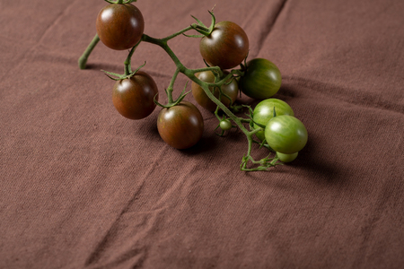 Brown cherry tomatoes branchの写真素材