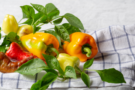 Fresh local pepper close-upの写真素材