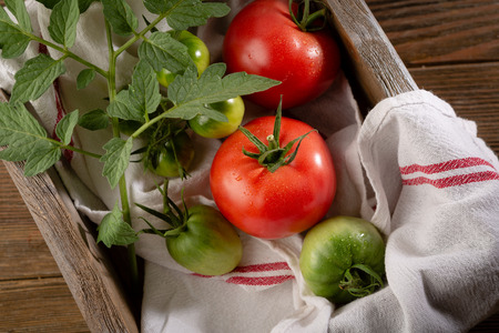 Tomatoes in wooden boxの写真素材
