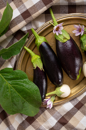 Fresh black and white eggplantsの写真素材