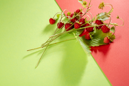 Fresh forest strawberries in bunchの写真素材