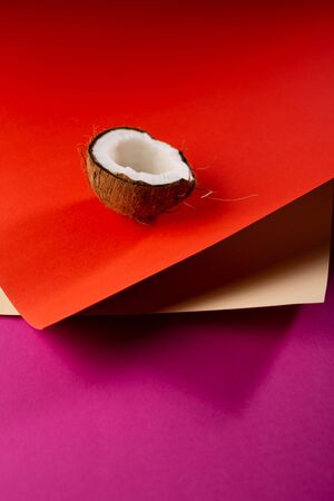 Geometric paper  art background with coconutの写真素材