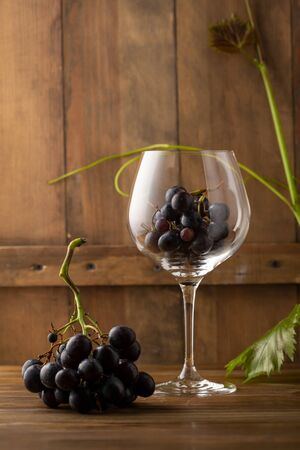 Wine glass full grapes, wine conceptの写真素材