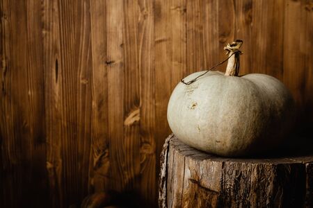 Autumn still life with pumpkin on woodの写真素材