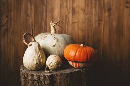 Pumpkin set on wood, autumn backgroundの写真素材