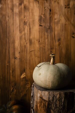 Pumpkin on wood, autumn backgroundの写真素材