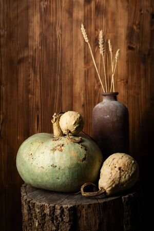 Pumpkin set on wood, autumn conceptの写真素材