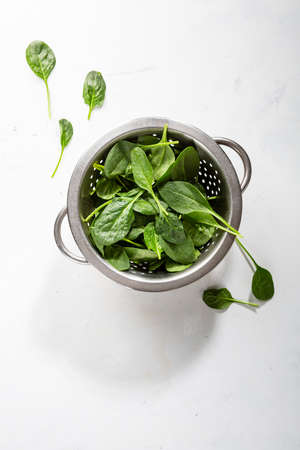 fresh spinach baby leaves in sieveの写真素材