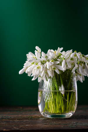 Spring flowers in glass vaseの写真素材