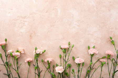 Overhead view of Flowers composition made of coral carnationの写真素材