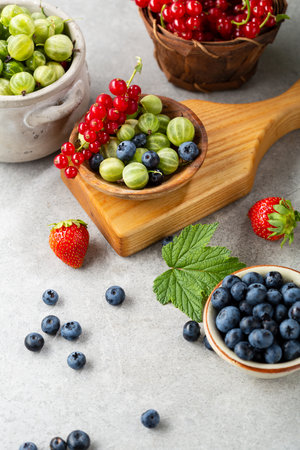 Composition with summer berries blueberries, gooseberries, red currantの写真素材