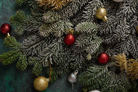 Overhead view of green Christmas eve branches