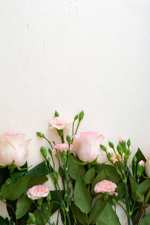 Pink flowers overhead view on white surface, top view copy spaceの写真素材