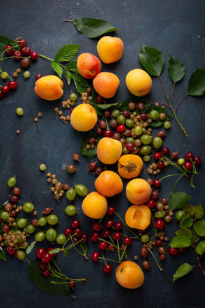 Concept of summer rich harvest fruits and berries, overhead viewの写真素材