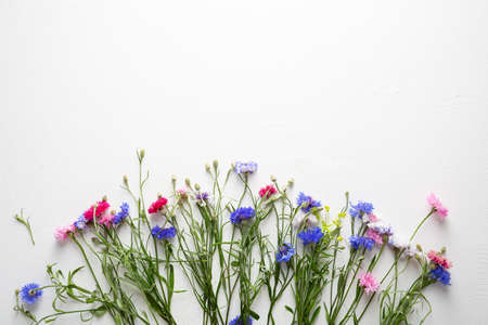 Overhead view of summer flowers on white surface, copy spaceの写真素材