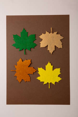 Maple leaves in autumn colour felt for craftの写真素材