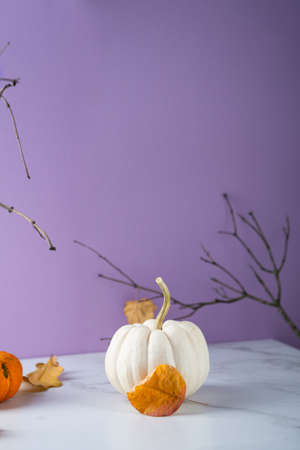 Modern autumn still life with pumpkinの写真素材