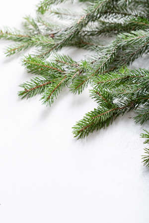 White  holiday background on green branch Christmas concept with copy spaceの写真素材