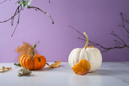 Halloween color background with pumpkin, autumn sale copy spaceの写真素材