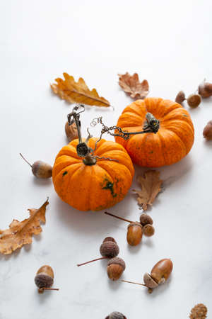 Autumn concept orange pumpkin and dry leaves on light surfaceの写真素材