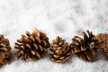 Natural Christmas background with pine cones on snowの写真素材
