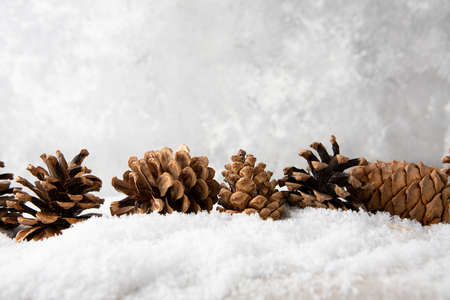 Natural Christmas background with pine conesの写真素材