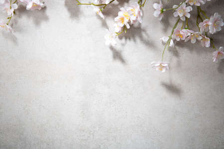 Pink flowers branches on grey surface copy spaceの写真素材