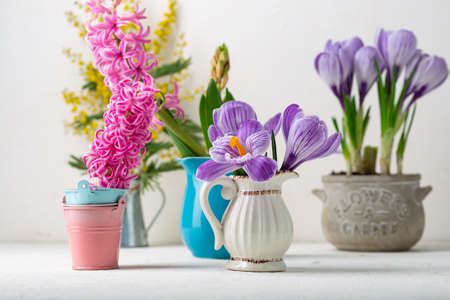 Spring composition with different flowersの写真素材