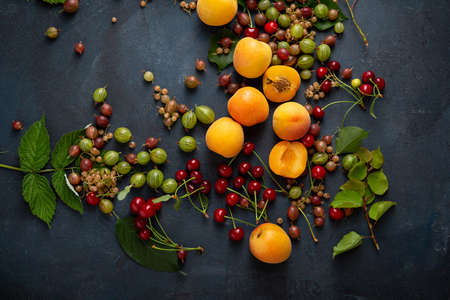 Summer fruits food background with copy space and berry top viewの写真素材