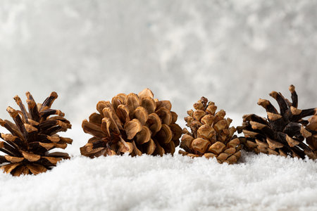 Pine cones on snow holiday winter backgroundの写真素材