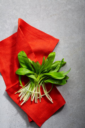 Edible wild garlic leek on kitchen textileの写真素材