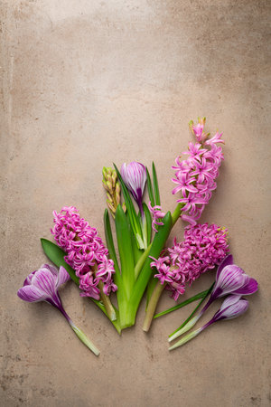 Sprinh time background with flowers crocus andの写真素材