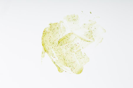 Pilling creamy green gel with particles. Concept of body care proceduresの写真素材