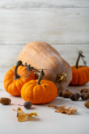 Autumn concept pumpkin and dried leaves on light surface copy spaceの写真素材