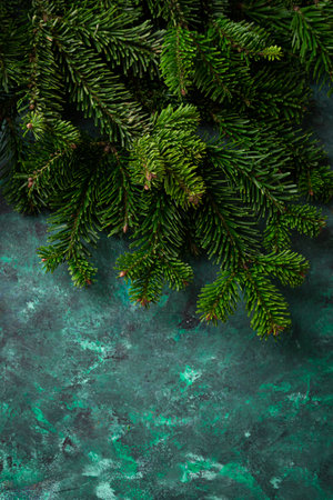 Green fir branches on green background holiday concept top viewの写真素材