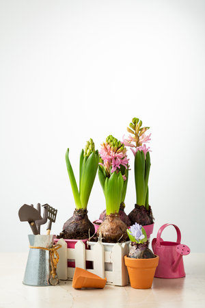 Spring concept garden tool and flowers in potの写真素材